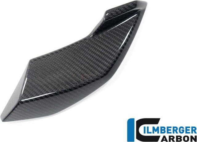 ILMBERGER イルムバーガー 左側ヘッドライトサイドカバー M1000R S1000R BMW その他外装 外装