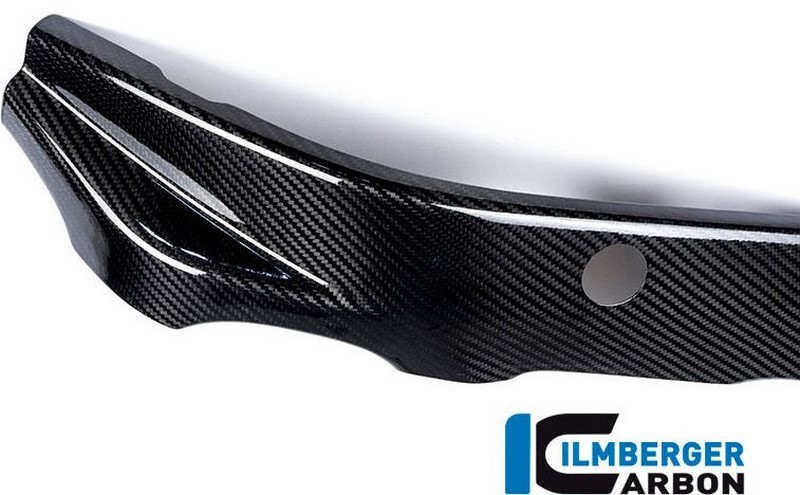 ILMBERGER �����С����� �ե졼�५�С� ��¦ �����ܥ� S1000R BMW �ե졼��