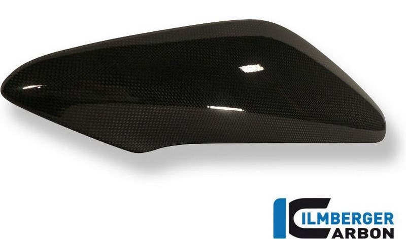 ILMBERGER イルムバーガー サイドパネル(ウォータークーラー上部)(右) カーボン SPEED TRIPLE TRIUMPH トライアンフ サイドカウル・サイドカバー カウル関連 外装