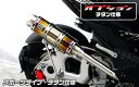 WirusWin ウイルズウィン ロイヤルマフラー スポーツタイプ チタン仕様 G-MAX125 PGO PGO