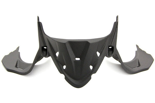 MOTO CORSE モトコルセ カーボン インストルメントカバー マットフィニッシュ Panigale [パニガーレ] 899Panigale DUCATI ドゥカティ その他汎用外装部品・ドレスアップパーツ 外装