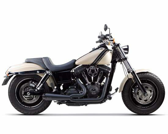 Two Brothers Racing ツーブラザーズレーシング Comp-S 2-1 エキゾーストシステム フルエキゾーストマフラー Dyna 06-17 HARLEY-DAVIDSON ハーレーダビッドソン マフラー