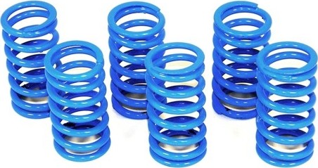 DUCABIKE (DBK) ドゥカバイク (ディービーケー) クラッチ用スプリング STREETFIGHTER 1100 ST4 ST2 SS 900 1000 MULTISTRADA DS MONSTER S4 RS R S HYPERMOTARD1100 EVO HYPERMOTARD SP 999 998 996 916 749 748 1198 1098 DUCATI ドゥカティ クラッチスプリング 駆動系