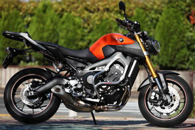 GOLDMEDAL ゴールドメダル スラッシュガード MT-09 YAMAHA ヤマハ エンジンガード フレーム 3