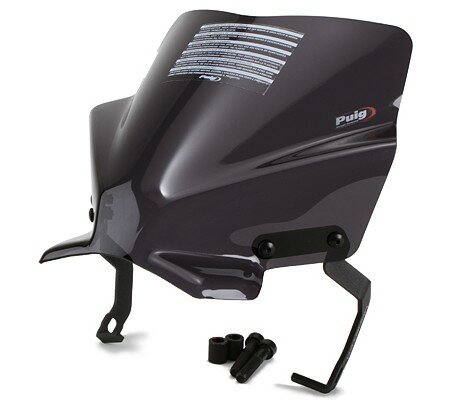 Puig プーチ ニュージェネレーション NKスクリーン MONSTER 1200 S R 821 DARK STRIPE 797 DUCATI ドゥカティ スクリーン 外装