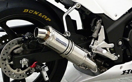 WirusWin ウイルズウィン レーシングマフラー CBR250R HONDA ホンダ スリップオンマフラー マフラー