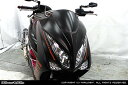 WirusWin ウイルズウィン ソリッドマスク マジェスティS YAMAHA ヤマハ その他スクーター外装 カウル関連 外装