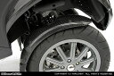WirusWin ウイルズウィン カーボンフロントフェンダー MP3 PIAGGIO ピアジオ フロントフェンダー フェンダー関連 外装