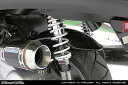 WirusWin ウイルズウィン カーボンリアフェンダー MP3 PIAGGIO ピアジオ リアフェンダー フェンダー関連 外装