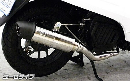 WirusWin ウイルズウィン ロイヤルマフラー ユーロタイプ ダンク HONDA ホンダ フルエキゾーストマフラー マフラー