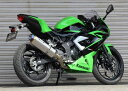 BEET r[g NASSERT(iT[g) Evolution TypeII tGL][Xg}t[ Ninja250SL Z250SL KAWASAKI JTL KAWASAKI JTL TCT[^CvF^ubN