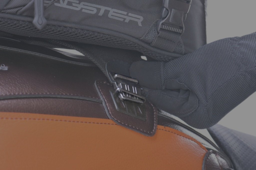 BAGSTER �Х������� ��ڥ� �����å����ȶ���ѥ���å� ����¾���󥯥Хå����ץ�����佤���� �����ѥХå���������