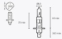 V PARTS ブイパーツ H1 電球 12V 55W 696 MONSTER ABS 916 S2 SR 125 BEVERLY 4V RST MP3 300...