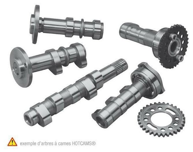 ■商品概要【メーカー品番】2204-2E■詳細説明Developed on test benches and tested by leading teams， HOT CAMS camshafts are available in three levels．Stage 1 ： increases torque and power with no additional modifications． Ideal for basic tuning．Stage 2 ： better suited to large machines， requires further improvements such as hi-compression pistons and larger carburetor to deliver its potential．Stage 3 ： specifically developed for Supermotard or to increase cylinders (use original valve springs for mounting)In any case， we strongly advise these preparations to be handled by qualified professionals and with the adapted tools． Two sets of valve discs included for a perfect fit．■注意点※輸入品のため、説明書が付属する場合、外国語の説明書となります。※メーカー都合により商品の仕様変更がある場合がございます。ご了承ください。　※画像はイメージです。■適合車種RM-Z250&ensp;RM-Z250 ■商品番号1018964