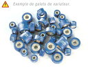 Polini ポリーニ バリエーターローラー セット 20x17mm 11,8gr - 6 個 VESPA GTS SUPER SPORT CIAK 150 M...