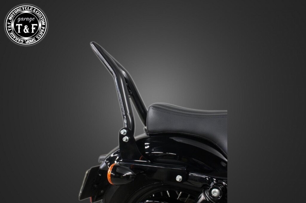 Garage T&F ガレージ 極太Φ38シーシーバー 純正フェンダー専用 XL1200 XL883 HARLEY-DAVIDSON ハーレーダビッドソン グラブバー・タンデムバー・シーシーバー 外装 カラー：ブラック / サイズ：ミディアム(長さ：約450mm)