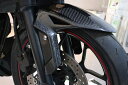 Carbon Variasi カーボンバリアシ フロントフェンダー R25 YAMAHA ヤマハ フェンダー関連 外装