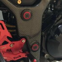 Carbon Variasi カーボンバリアシ フレームカバー NINJA250 KAWASAKI カワサキ フレーム