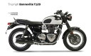 IXIL イクシル IRONHEAD(アイアンヘッド) HC1-2 左右2本出し スリップオンマフラー BONNEVILLE T120 TRIUMPH トライアンフ マフラー(2)