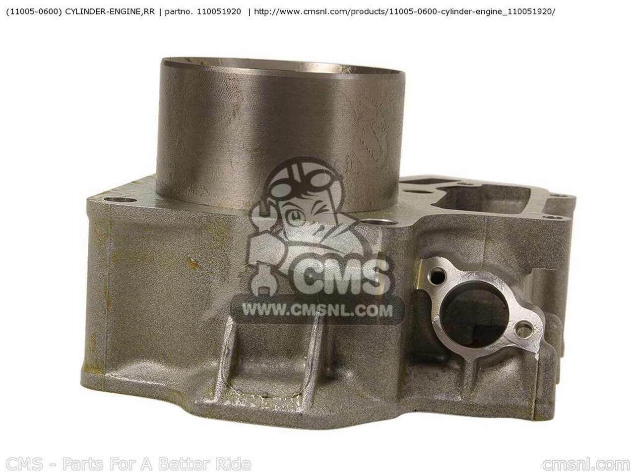 CMS �������२�� (110050600) CYLINDER-ENGINE��RR KAWASAKI ���掠�� �������� ���󥸥�ѡ��� ���󥸥�