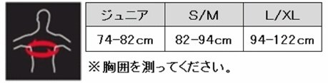 LEATT BRACE リアットブレイス 4.5 ネックブレース プロテクター サイズ：L／XL(目...