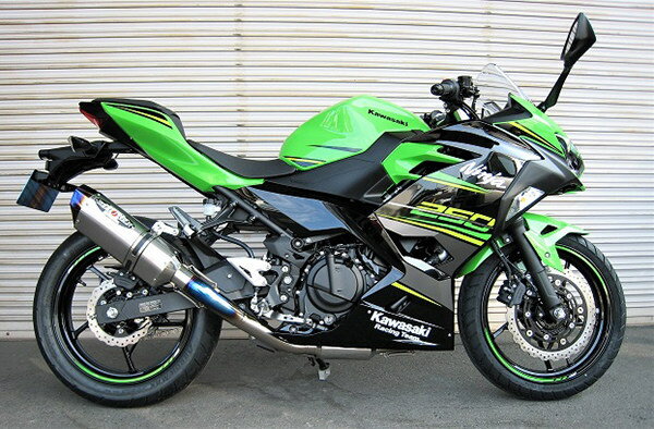 BEET ビート NASSERT(ナサート) Evolution TypeII フルエキゾーストマフラー Ninja250 Z250 KAWASAKI カワサキ KAWASAKI カワサキ サイレンサータイプ：メタルブラック