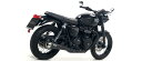 ARROW アロー PRO-RACING スリップオンマフラー BONNEVILLE T100 T120 TRIUMPH トライアンフ マフラー サイレンサー材質:ステンレスダーク(2)