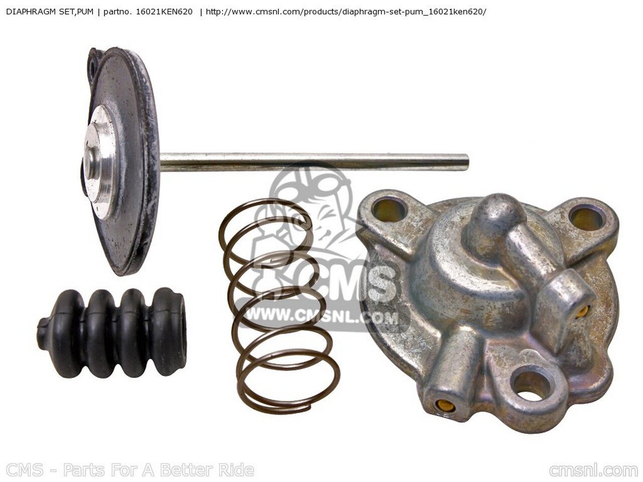 乐天商城 - CMS シーエムエス DIAPHRAGM SET，PUM CB250 1996 T ENGLAND / MPH 1998 W HONG KONG 1999 X BELGIUM FRANCE ITALY PORTUGAL SPAIN CB250P CHINA PLB SS PLR GENERAL EXPORT KPH POLAND THE MIDDLE AND NEAR EAST HONDA ホンダ その他キャブレターオプション・補修部品
