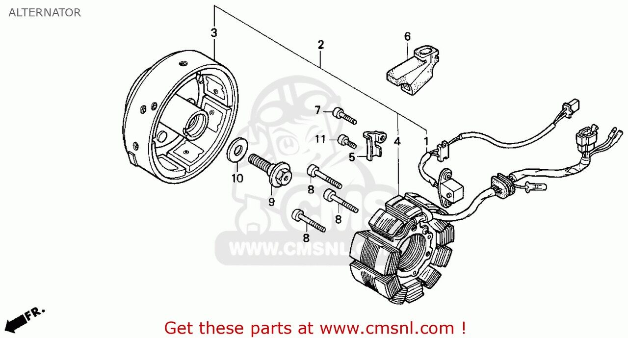 CMS シーエムエス STATOR COMP. CB250 1994 R BELGIUM FRANCE NETHERLANDS PORTUGAL SPAIN / SPO 1996 T ENGLAND MPH 1998 W AUSTRALIA KPH MEXICO 1999 X ITALY NIGHTHAWK 1990 L USA 1991 M CANADA 1992 N 1993 P SINGAPORE 1995 S 1997 V TWO FIFTY HONDA ホンダ 電装系