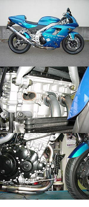 RADICAL ラジカル パフォーマンス エキゾースト 955i TRIUMPH トライアンフ フルエキゾーストマフラー マフラー