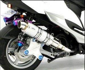 Other - WirusWin ウイルズウィン アニバーサリーマフラー ユーロタイプ ホワイトカーボン仕様 シグナスX YAMAHA ヤマハ フルエキゾーストマフラー マフラー