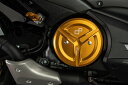 LighTech ライテック クランクケースカバー T-MAX 530 560 YAMAHA ヤマハ エンジンパーツ エンジン