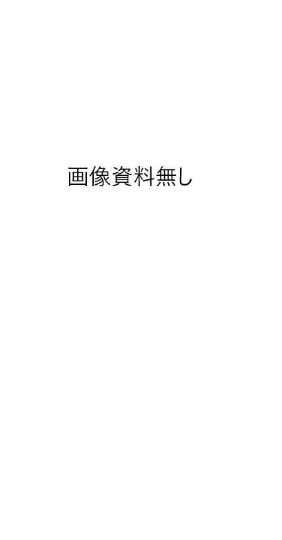 SP武川 SPタケガワ クラッチスペーサー その他クラッチオプション・補修部品 駆動系