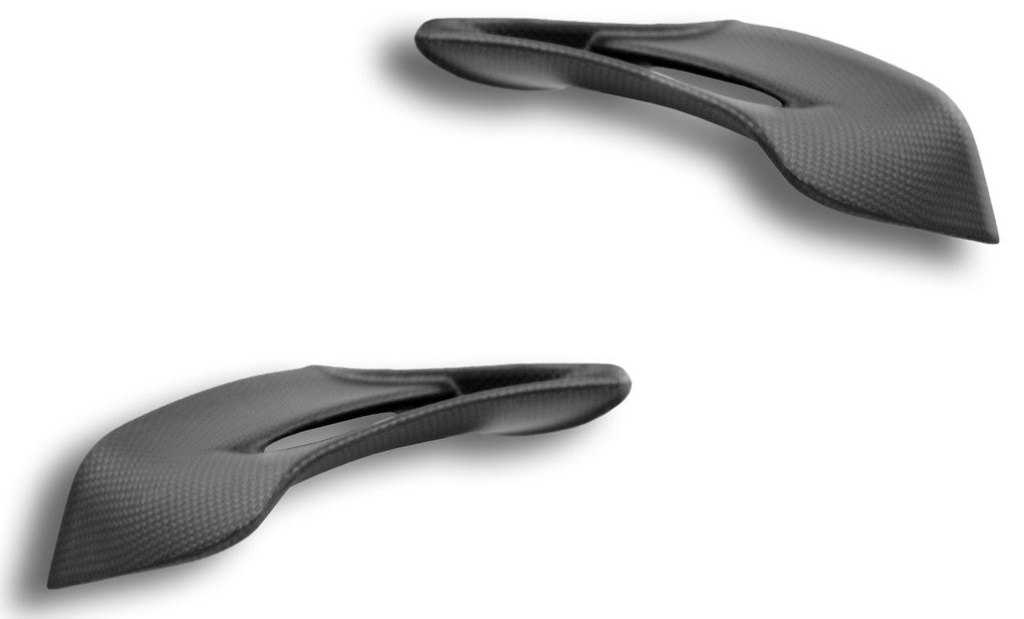 DUCABIKE (DBK) ドゥカバイク (ディービーケー) ドライカーボン ウィングレット PANIGALE V4 S SP2 R D..