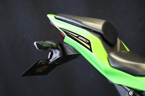 A-TECH エーテック フェンダーレスキット ZX-25R KAWASAKI カワサキ フェンダー関連 外装 タイプ：平織ドライカーボン(CDC)／クリア塗装済
