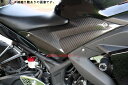 SPEEDRA スピードラ タンクサイドカバー ドライカーボン YZF-R25 YZF-R3 YAMAHA ヤマハ YAMAHA ヤマハ YAMAHA ヤマハ