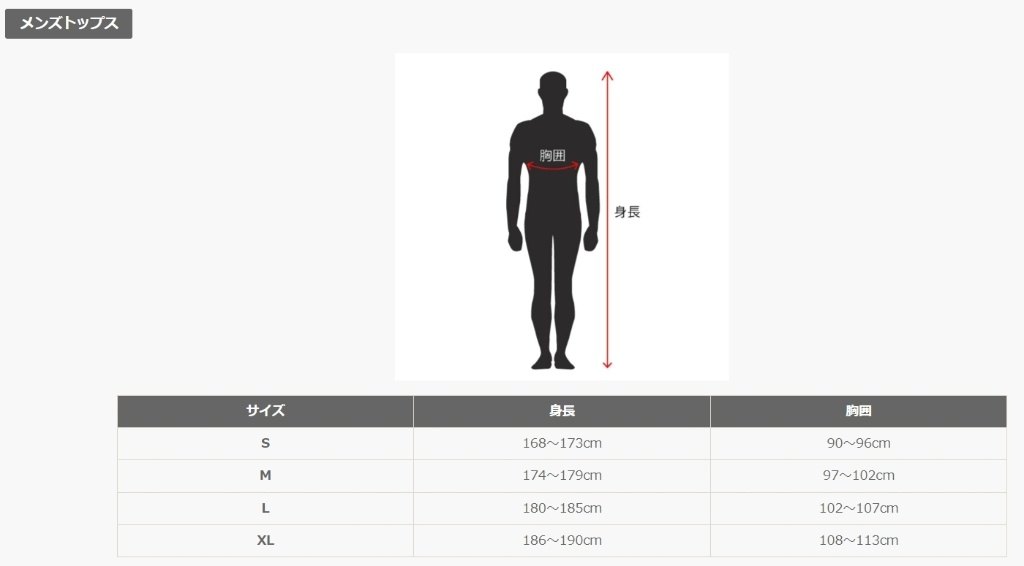 alpinestars アルパインスターズ スピードウェイ Tシャツ アパレル