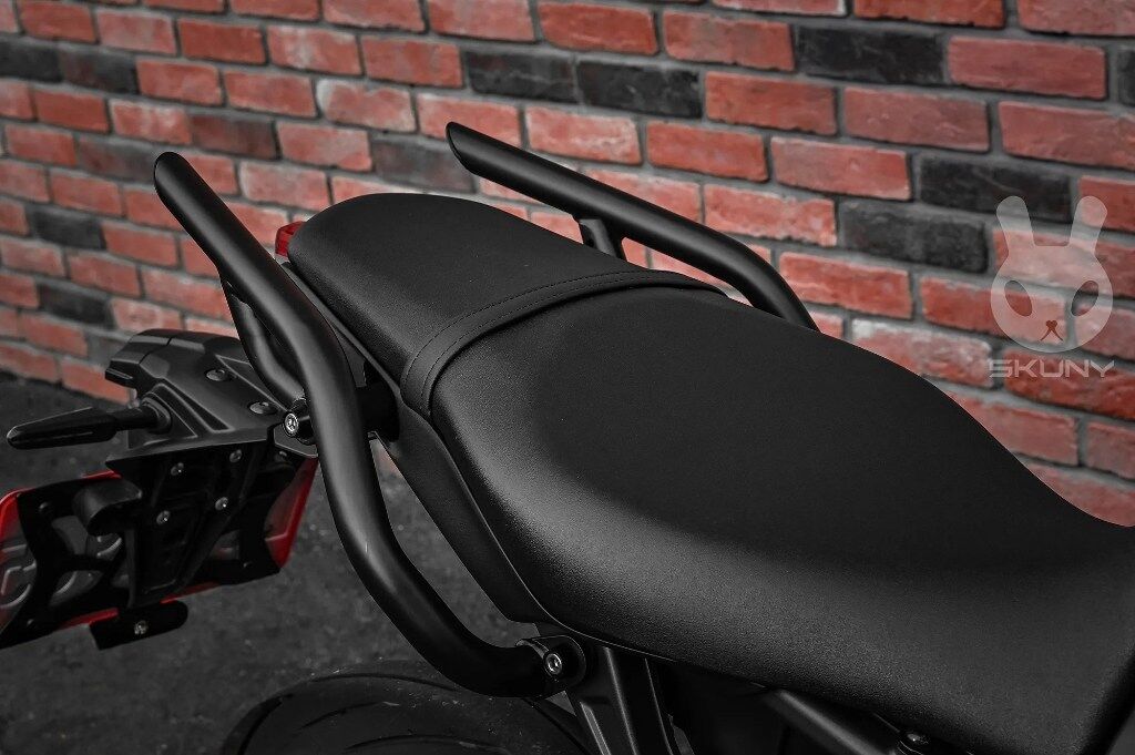 SKUNY スクーニー 多機能スプリットリアグラブレール MT-09 YAMAHA ヤマハ グラブバー・タンデムバー・..