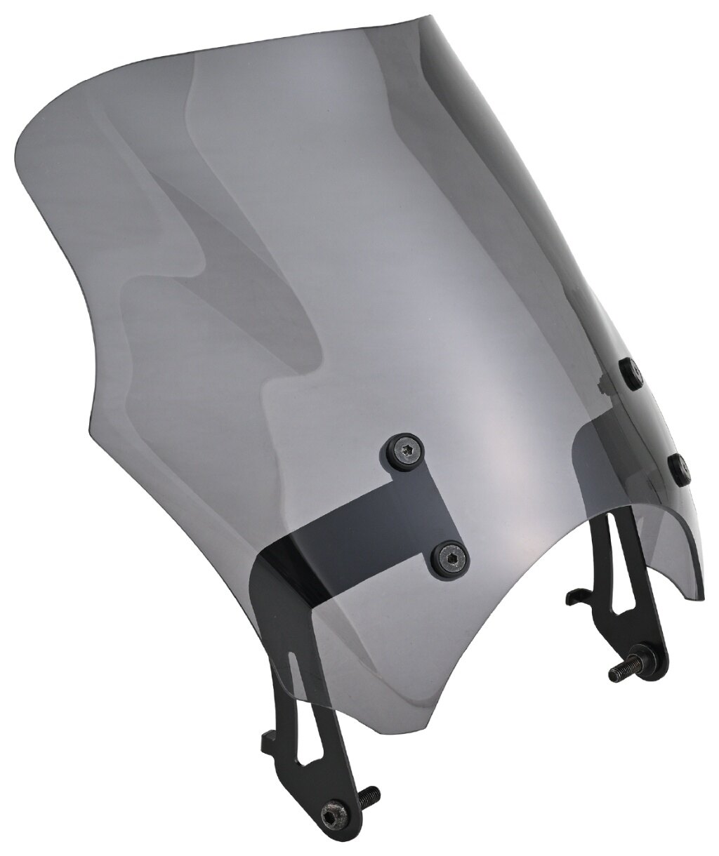 DAYTONA �ǥ��ȥ� �����꡼�� �֥饹�ȥХꥢ�� CB1000F HONDA �ۥ�� ����