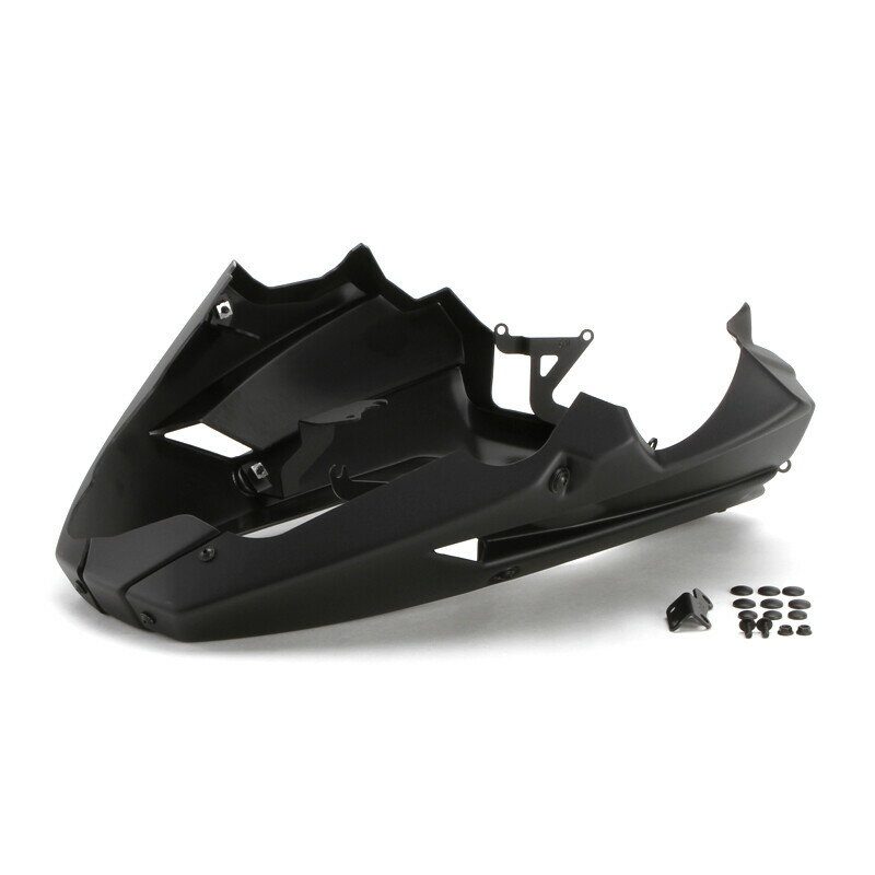 Puig プーチ エンジンスポイラー (ENGINE SPOILERS) Z900SE Z900 KAWASAKI カワサキ スポイラー・ウイ..