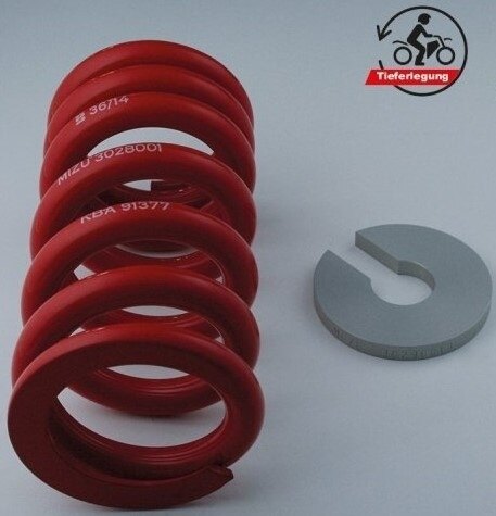 MiZU ミズ Lowering kit，including ABE (part certificate)，40mm F800R BMW 車高調キット・リンク サスペンション 足回り