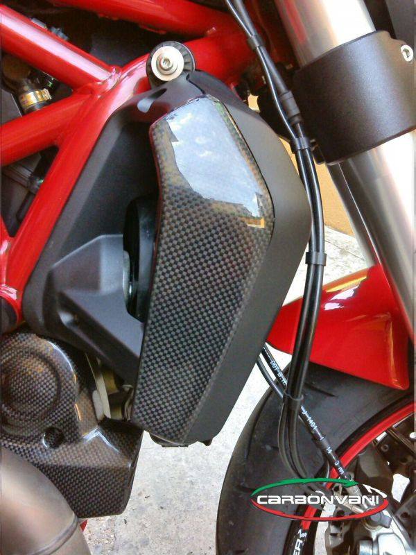 CARBONVANI カーボンバーニ ラジエーターパネル MONSTER 1200 R S DUCATI ドゥカティ ラジエーターコアガード・オイルクーラーコアガード 冷却関連 エンジン