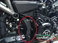 CARBONVANI カーボンバーニ ケーブルプロテクター X DIAVEL DUCATI ドゥカティ