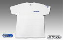 WirusWin ウイルズウィン オリジナル Tシャツ アパレル