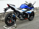 WR’S ダブルアールズ リアエキゾースト スリップオンマフラー GSX250R SUZUKI スズキ SUZUKI スズキ タイプ：ステンレス／チタン(焼き色)