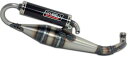 Giannelli ジェネリ EXHAUST SCOOTER SHOT V4 SR 50 DITECH SR 50 R SR 50 R FACTORY SR 50 STREET APRILIA アプリリア APRILIA アプリリア APRILIA アプリリア APRILIA アプリリア APRILIA アプリリア APRILIA アプリリア