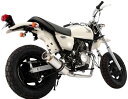 BEAMS ビームス SS300 フルエキゾーストマフラー エイプ50 HONDA ホンダ サイレンサー：ソニックダウンタイプ