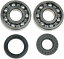 MOOSE RACING ムースレーシング Crank Bearing/Seal Kit［A24-1025］ YZ 125 YAMAHA ヤマハ