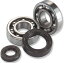 MOOSE RACING ࡼ졼 Crankshaft Bearing and Seal Kit0924-0237 QT 50 Yamahopper PW 50 YAMAHA ޥ YAMAHA ޥ