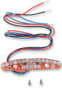 Drag Specialties ドラッグスペシャリティーズ Side Mount LED Taillight/License Plate Replacemen...